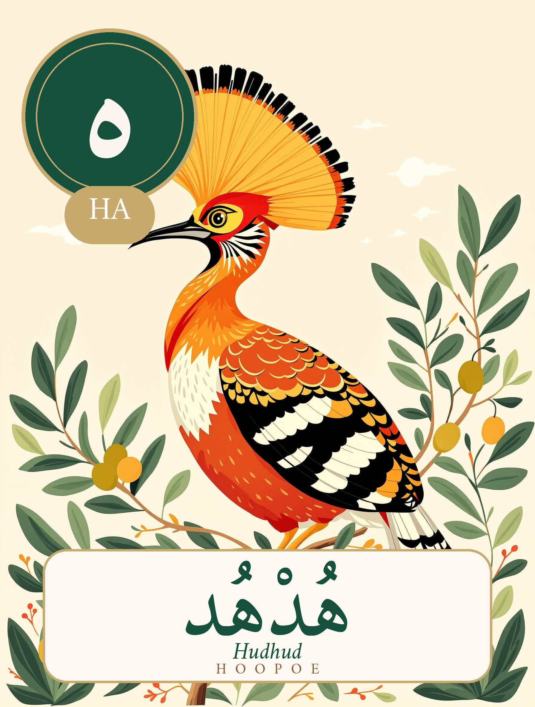 Arabic alphabet flashcard - letter Ha with a hoopoe (Hudhud) - Gold Olive Tree