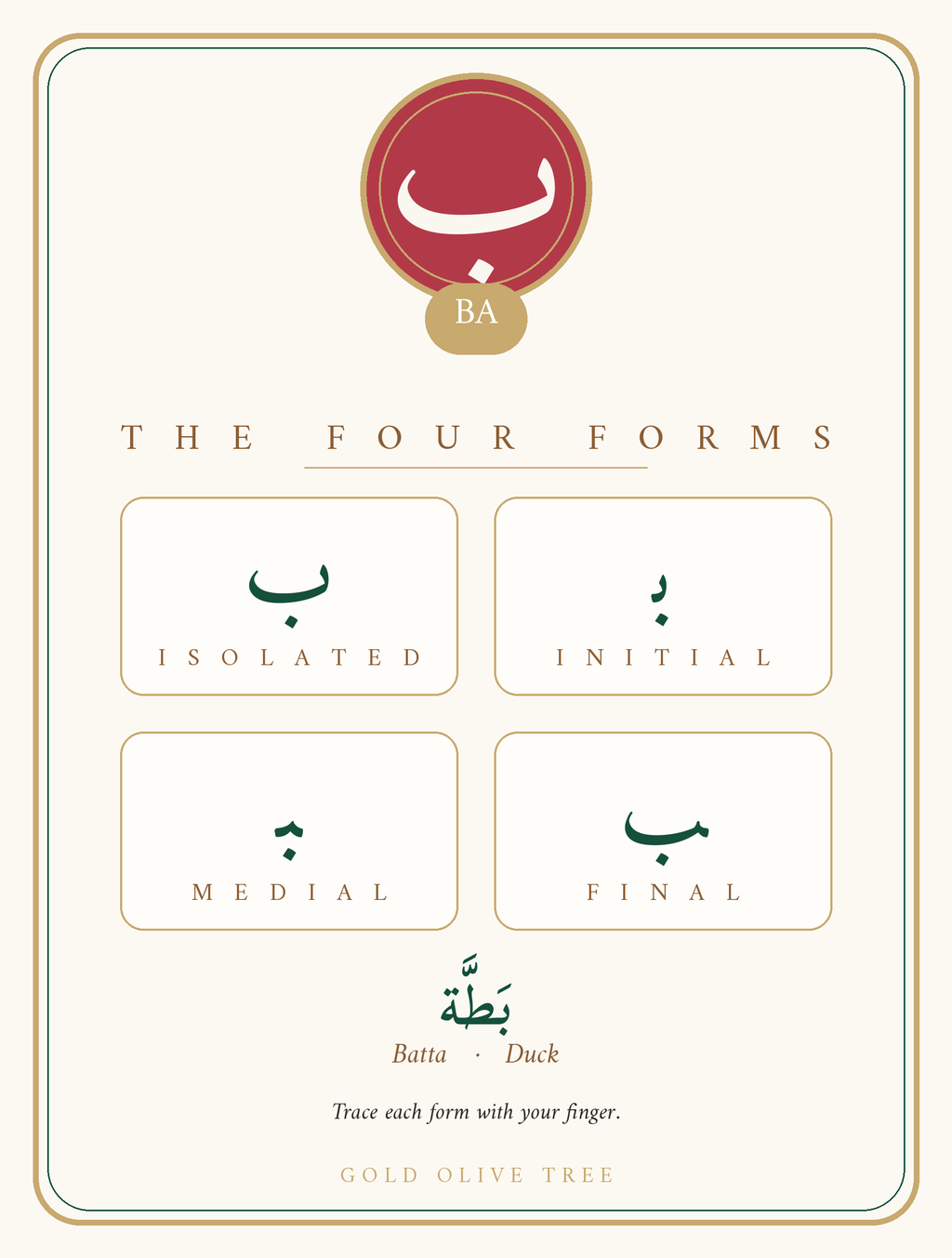 Card back - the four forms of each Arabic letter (isolated, initial, medial, final) - Gold Olive Tree