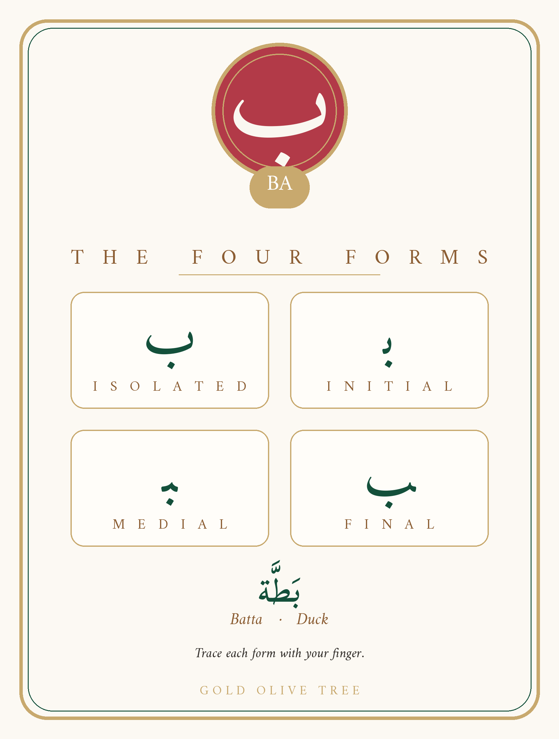 Card back - the four forms of each Arabic letter (isolated, initial, medial, final) - Gold Olive Tree